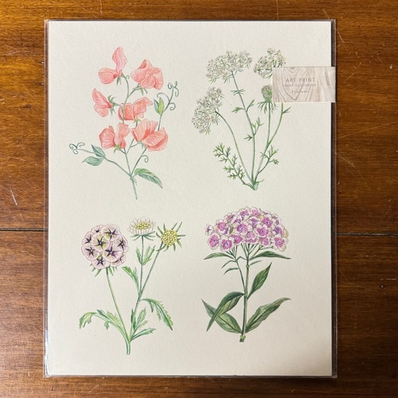 Hand Illustrated Botanics Art Print - Ready To Frame - Picture 7 of 8